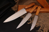 Кухонные ножи Набор кухонных ножей серии "Classic" 95х18, рукоять дуб. Подставка дуб.  